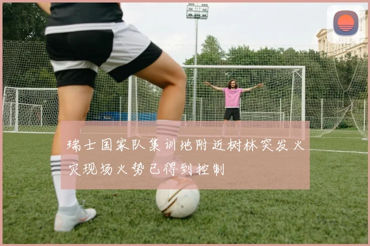 瑞士国家队集训地附近树林突发火灾现场火势已得到控制