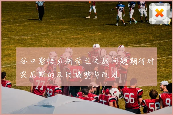 谷口彰悟分析荷兰之战问题期待对突尼斯的及时调整与改进